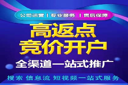 百度推广公司案例分析：精准定位，助力企业精准营销